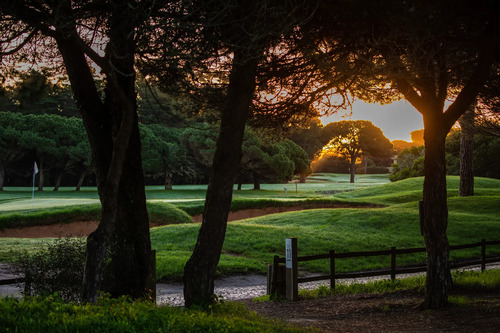 Golf